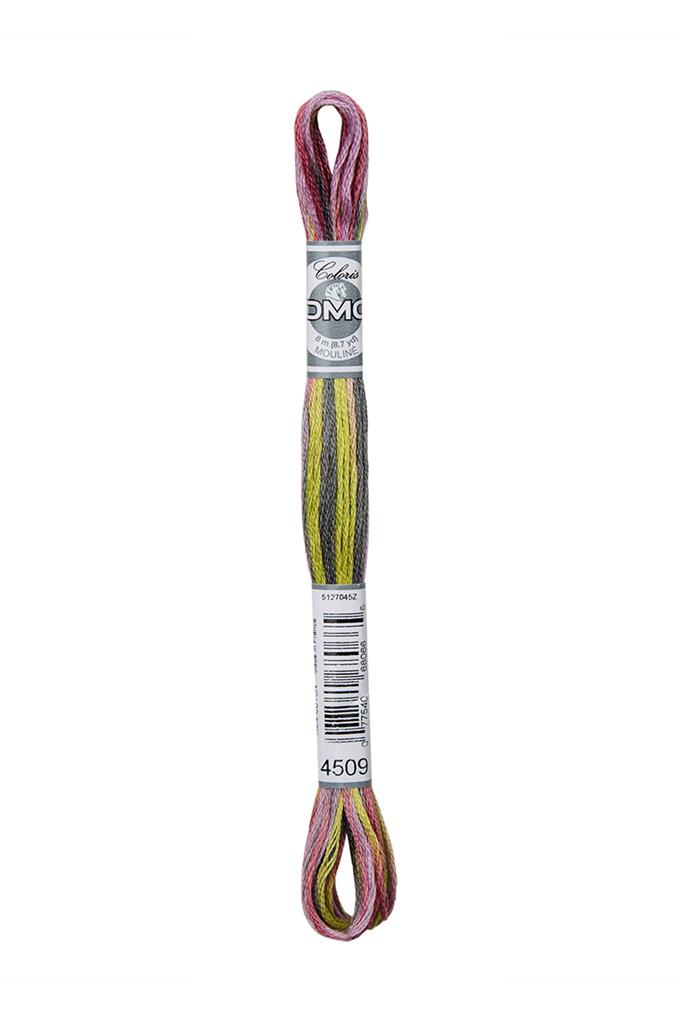 DMC Mouliné Coloris Borduurgaren