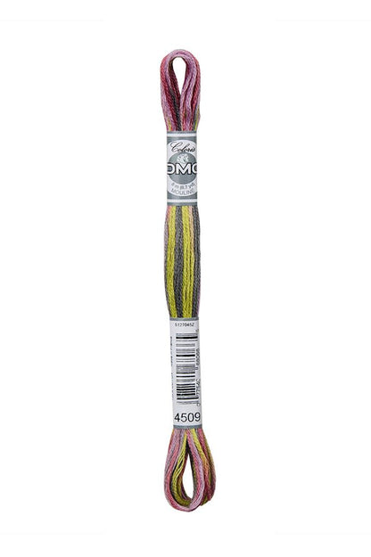 DMC Mouliné Coloris Borduurgaren