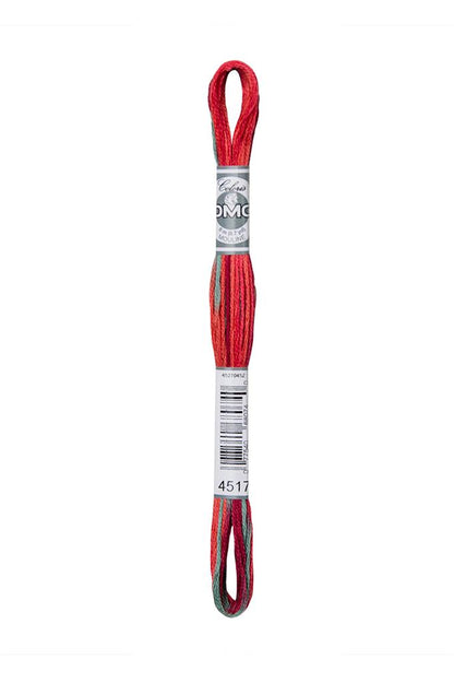 DMC Mouliné Coloris Borduurgaren