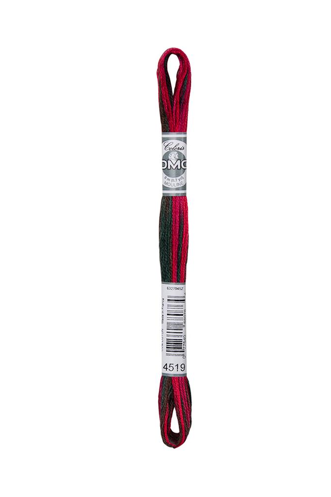 DMC Mouliné Coloris Borduurgaren