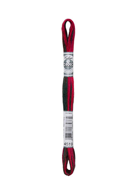 DMC Mouliné Coloris Borduurgaren