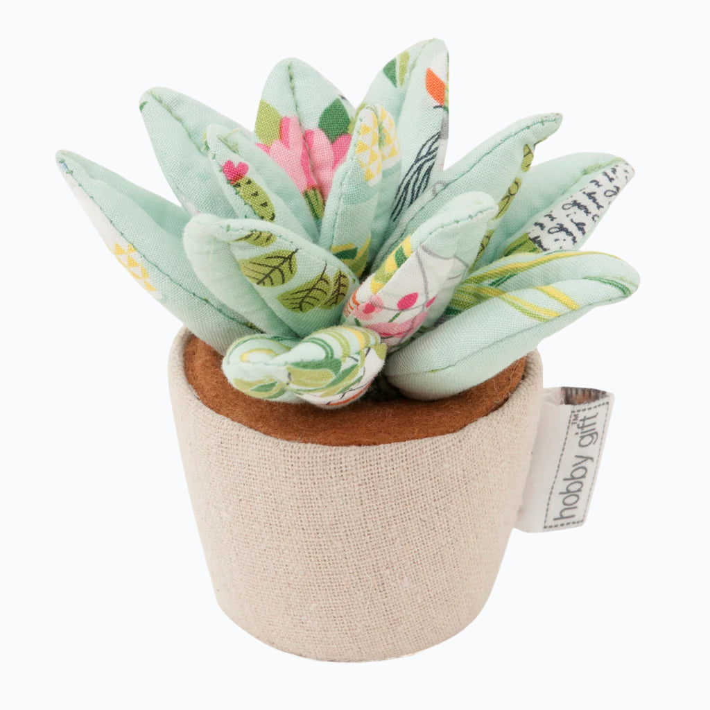 Pincushion Plant Life