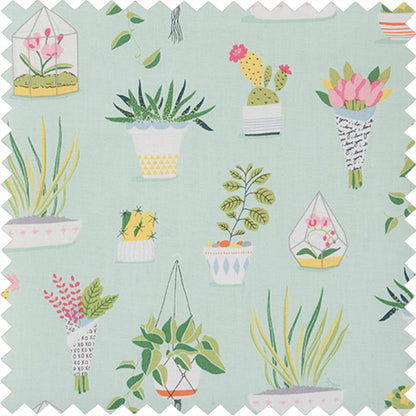 Pincushion Plant Life