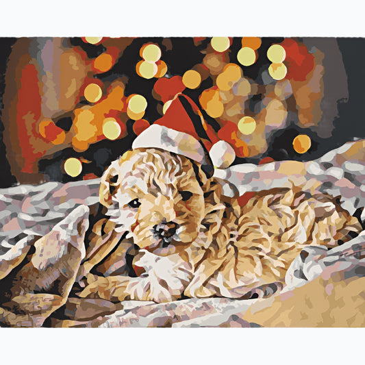 Paint By Numbers - Little Santa