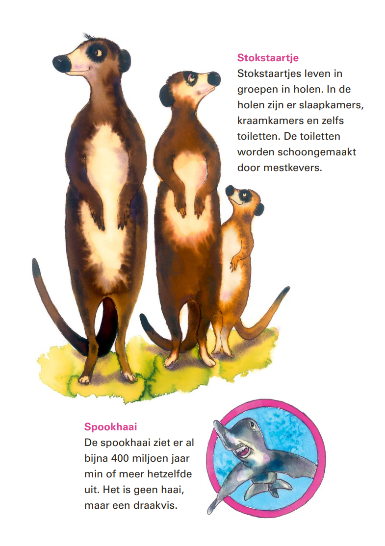 Princess Arabella's Cute, Funny, Big, Scary Animal Book